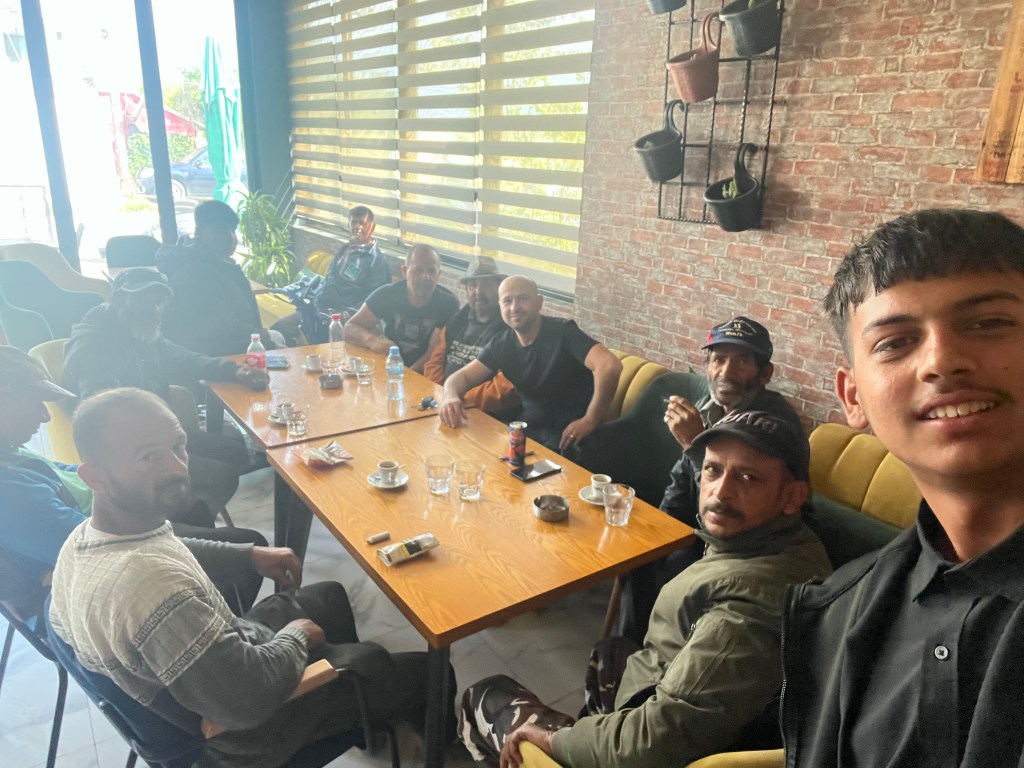 Three horses of various colors in a grassy field, shot from an outside perspective.